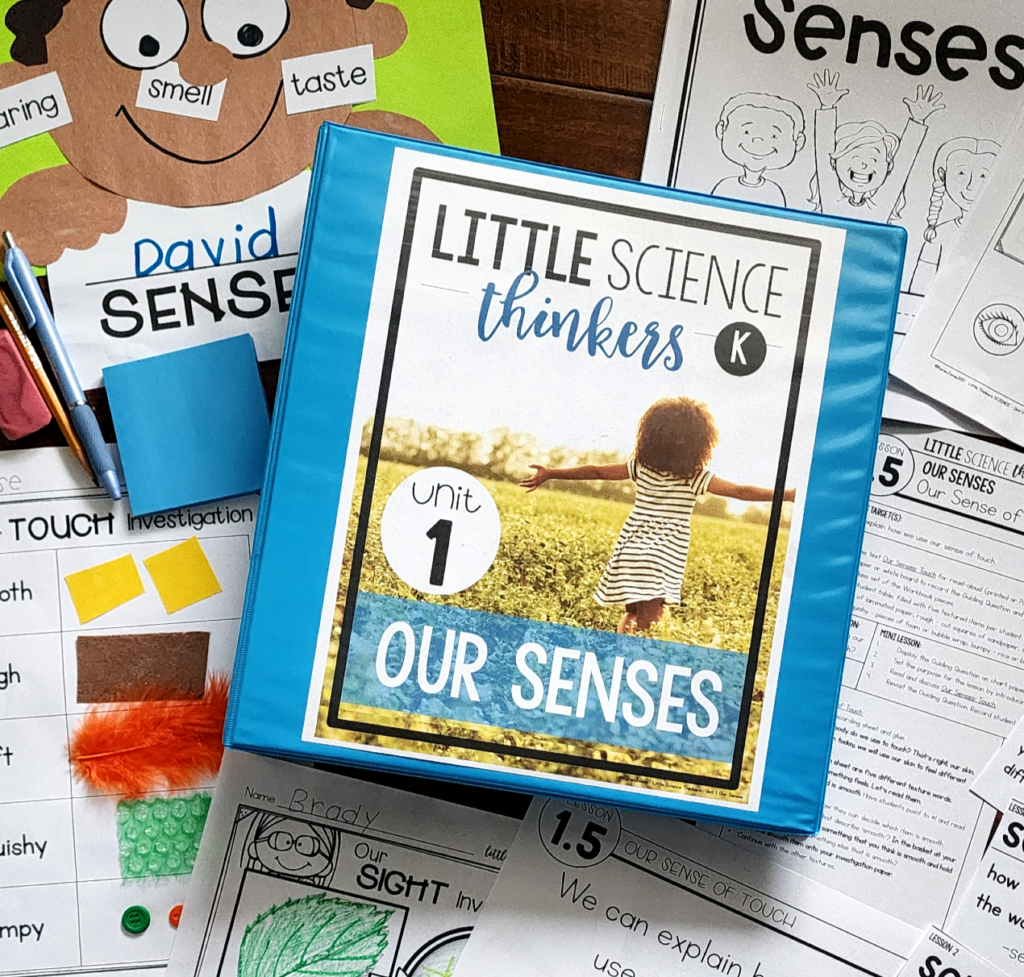 senses unit for kindergarten