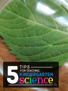 5 Tips for teaching kindergarten science