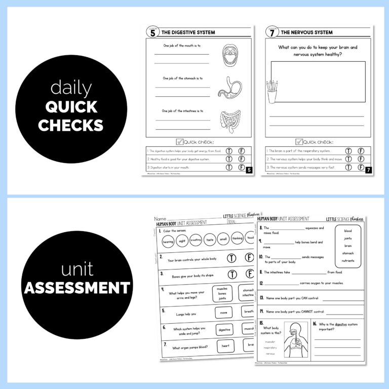 1st 2nd grade science units