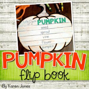 Pumpkin Life Cycle Craft