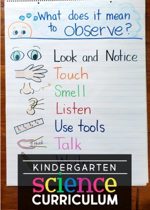 Kindergarten science units